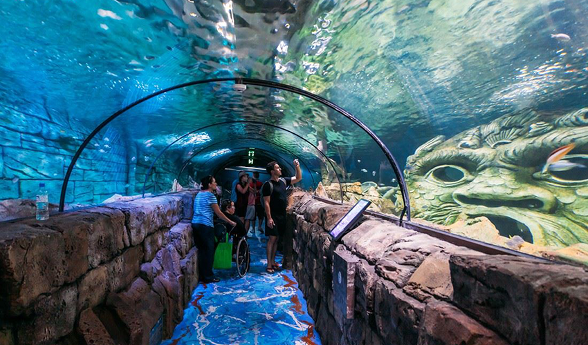 Museum-of-Oceanography-nha-trang