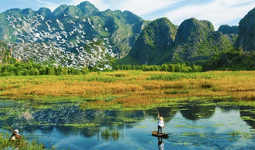 Van Long Wetland Nature Reserve - Hanoi to Ninh Binh
